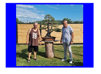 Yalova BONSAİ Müzesine Büyük İlgi
